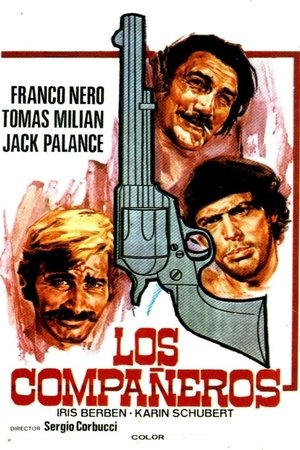 Imagen de Los compañeros