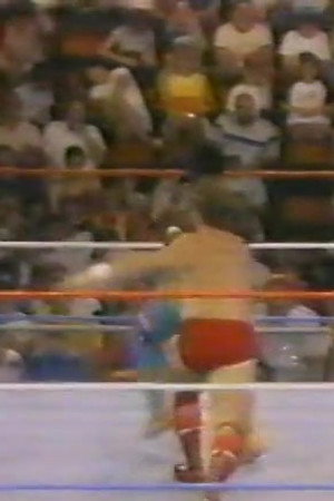 August 27, 1988 - Superstars of Wrestling 104