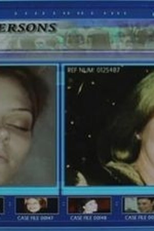 Zločin a provinění