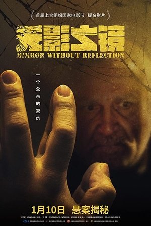 Mirror Without Reflection