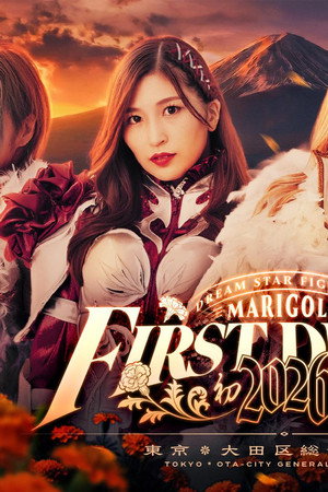 Marigold First Dream 2026