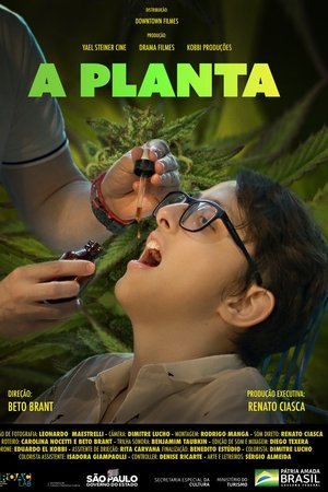 A Planta