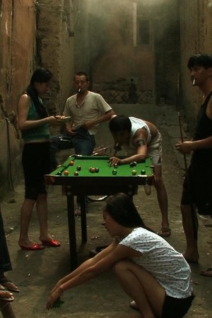 Ci qing