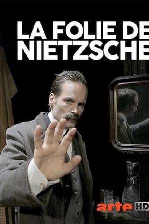 Wahnsinn ! Nietzsche !