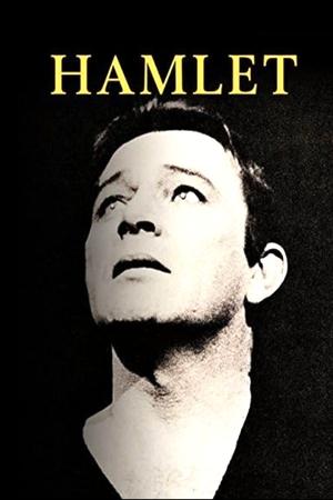 Hamlet from the Lunt-Fontanne Theatre