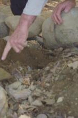 14. epizoda