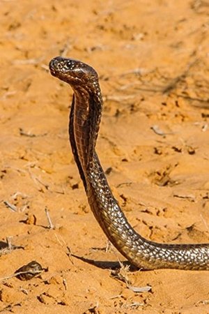 3. epizoda