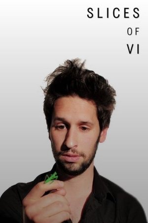 Slices of Vi