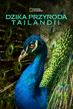 Dzika przyroda Tajlandii