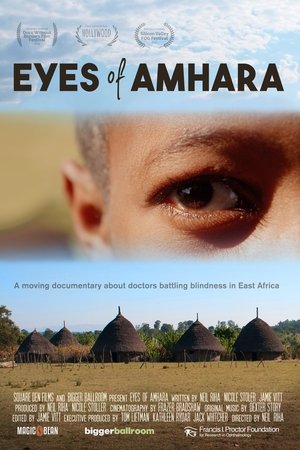 Eyes of Amhara