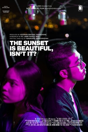 The Sunset is Beautiful, isn't it?