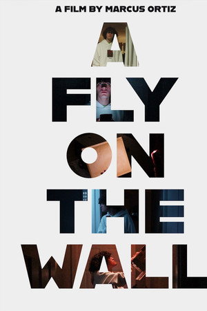 A Fly On The Wall