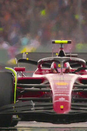 Za všechno může šéf