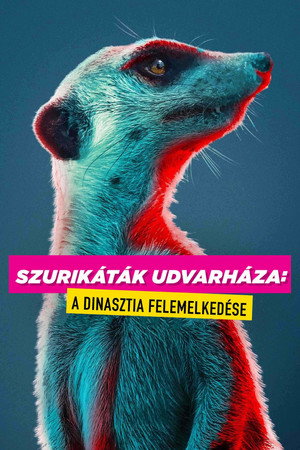 Szurikáták udvarháza