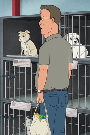 Care of the Dog