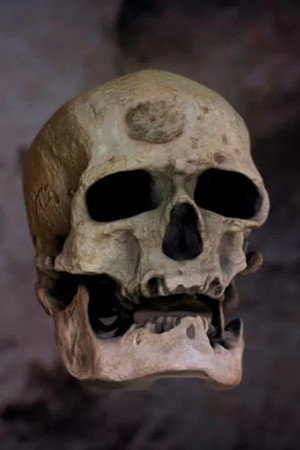 Neanderthals - The Enigma of Their Disappearance