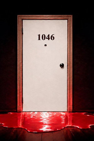 The Unsolved Murder in Room 1046