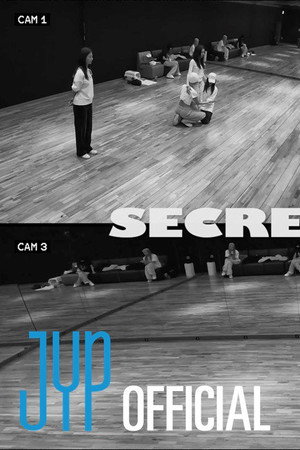 TWICE “Strategy” Dance Practice (SECRET STRATEGY)