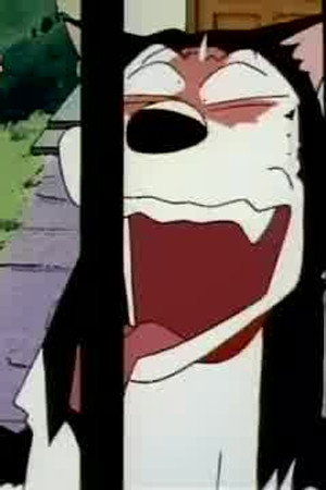 Episode 351