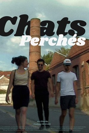 Chats perchés