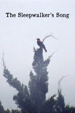 The Sleepwalker's Song