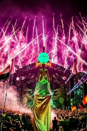 Dimitri Vegas & Like Mike Live at Tomorrowland 2017