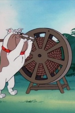 Scooby na picnicu