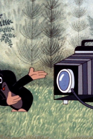 The Mole as Photographer