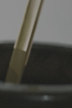 25. epizoda