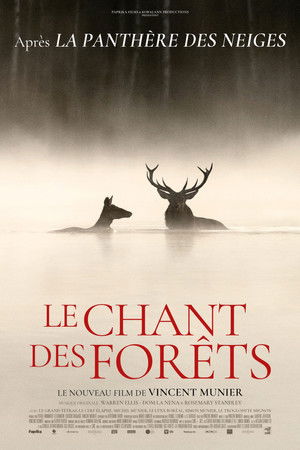 Le chant des forêts