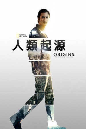 人类起源