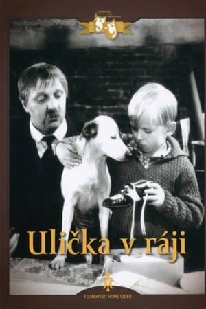 Ulička v ráji