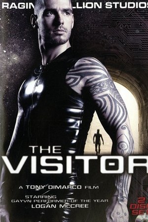 The Visitor