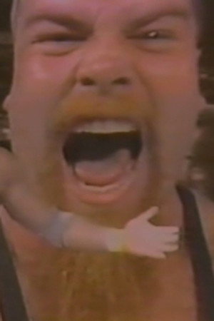 November 15, 1986 - Superstars of Wrestling #11