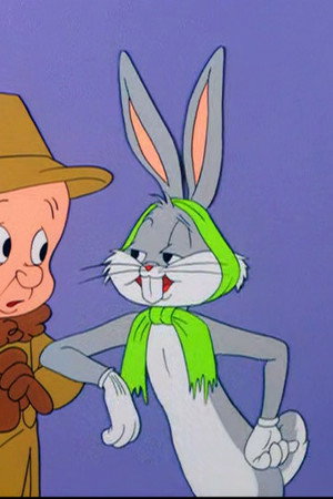 Rabbit Romeo