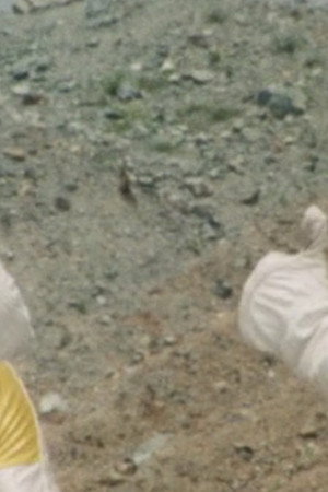 Protect The Bio Base