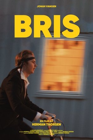 Bris
