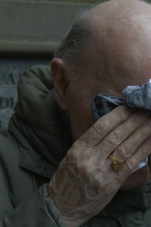 De oorlog van mijn vader