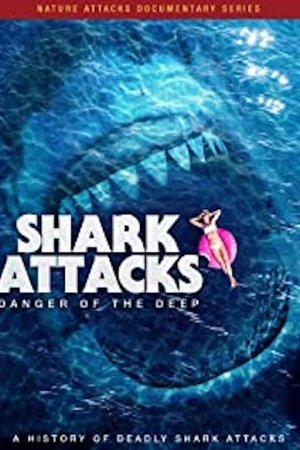 Shark Attacks