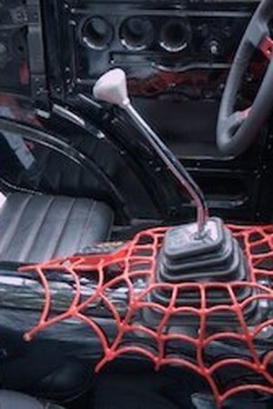 Z popela na výsluní