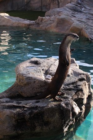 8. epizoda
