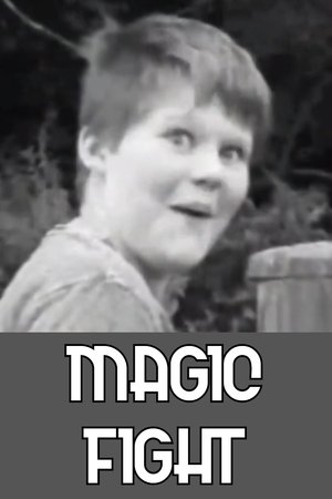 Magic Fight