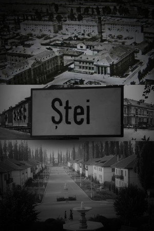 Ștei