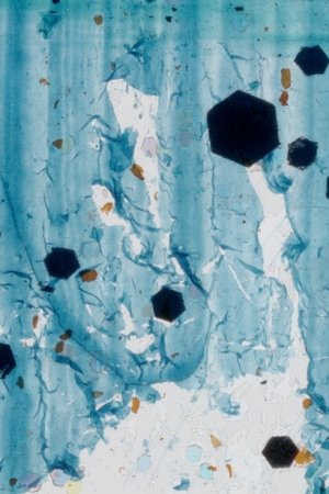 Bleue