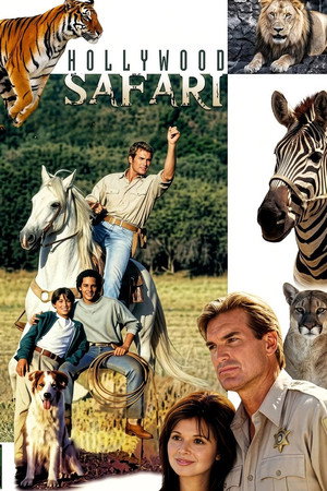 Hollywood Safari