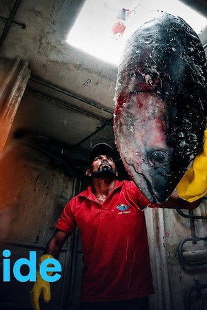 The sushi hype- Ravenous appetites and species extinction