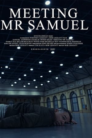 Meeting Mr Samuel