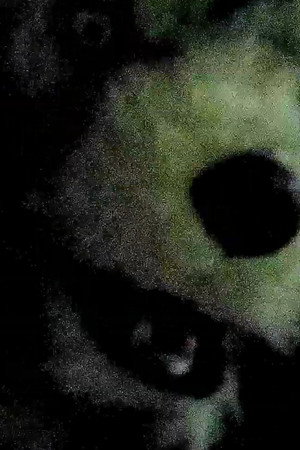 The Werewolf Of Fever Swamp