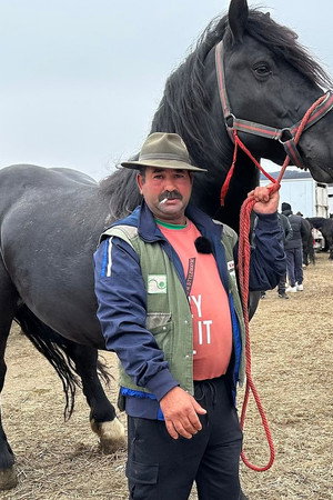 Romania's Controversial Horse Markets