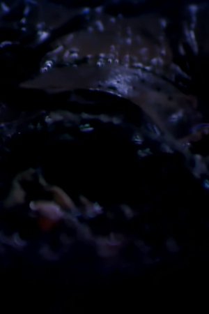 26. epizoda